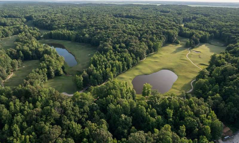 Village Creek State Park - Paddle, fish, hike, or camp along scenic Village Creek with sandy beaches, cypress-lined shores, and...