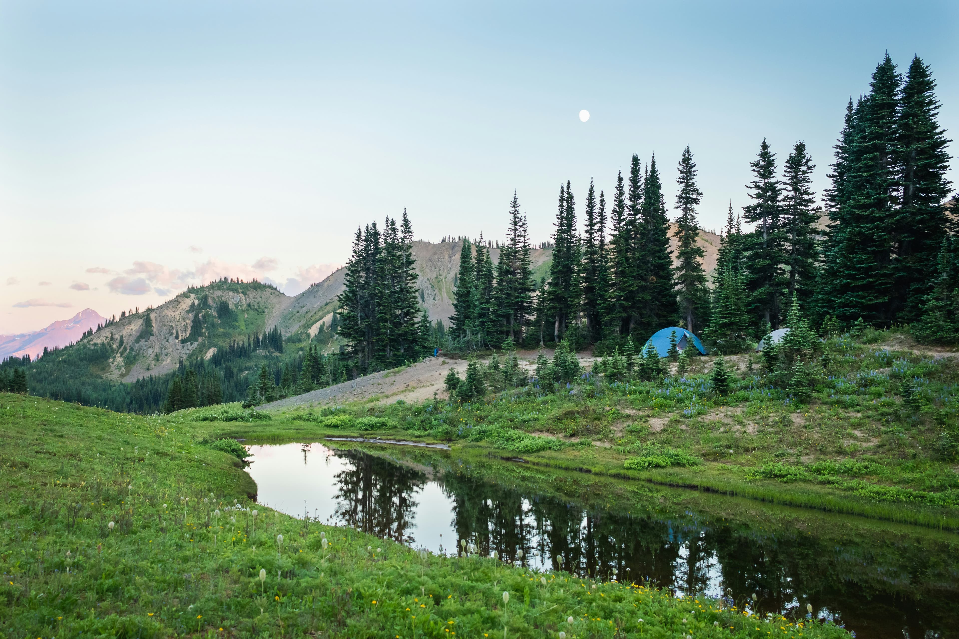 Scenic nature background