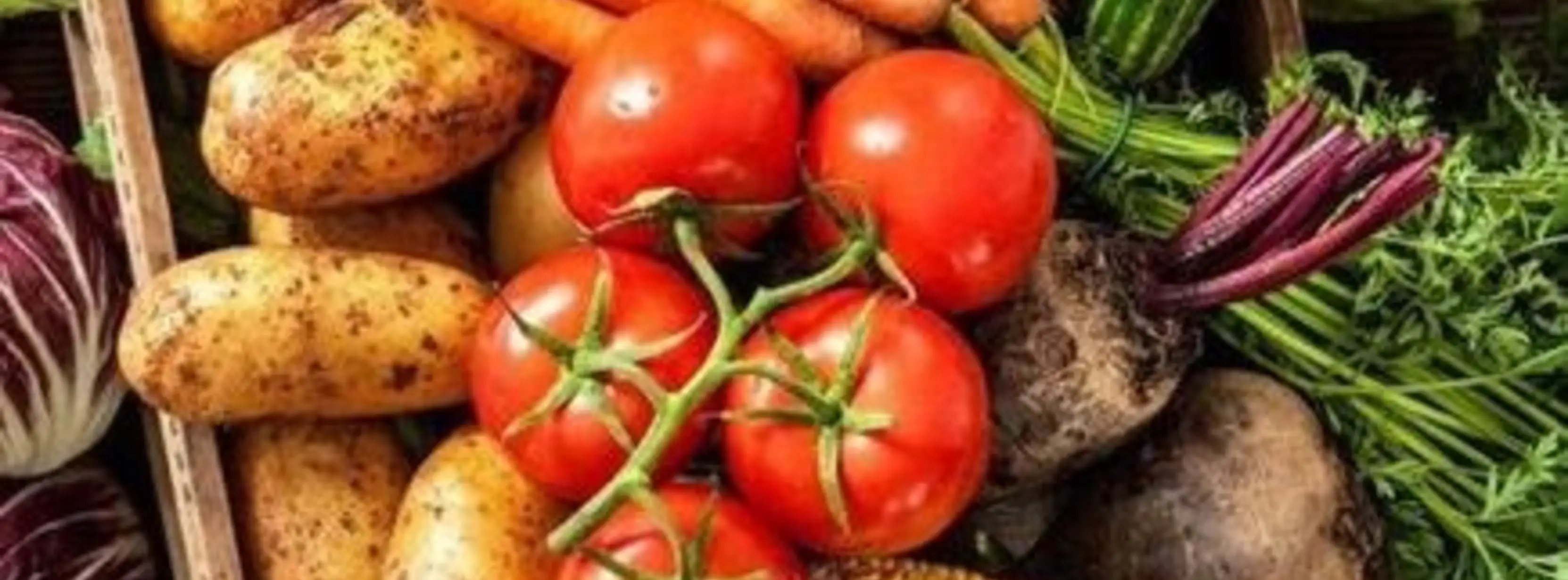 Kountze Farmers Market - Shop for fresh local produce, handmade crafts, and artisanal foods from local vendors. Open seasonal...