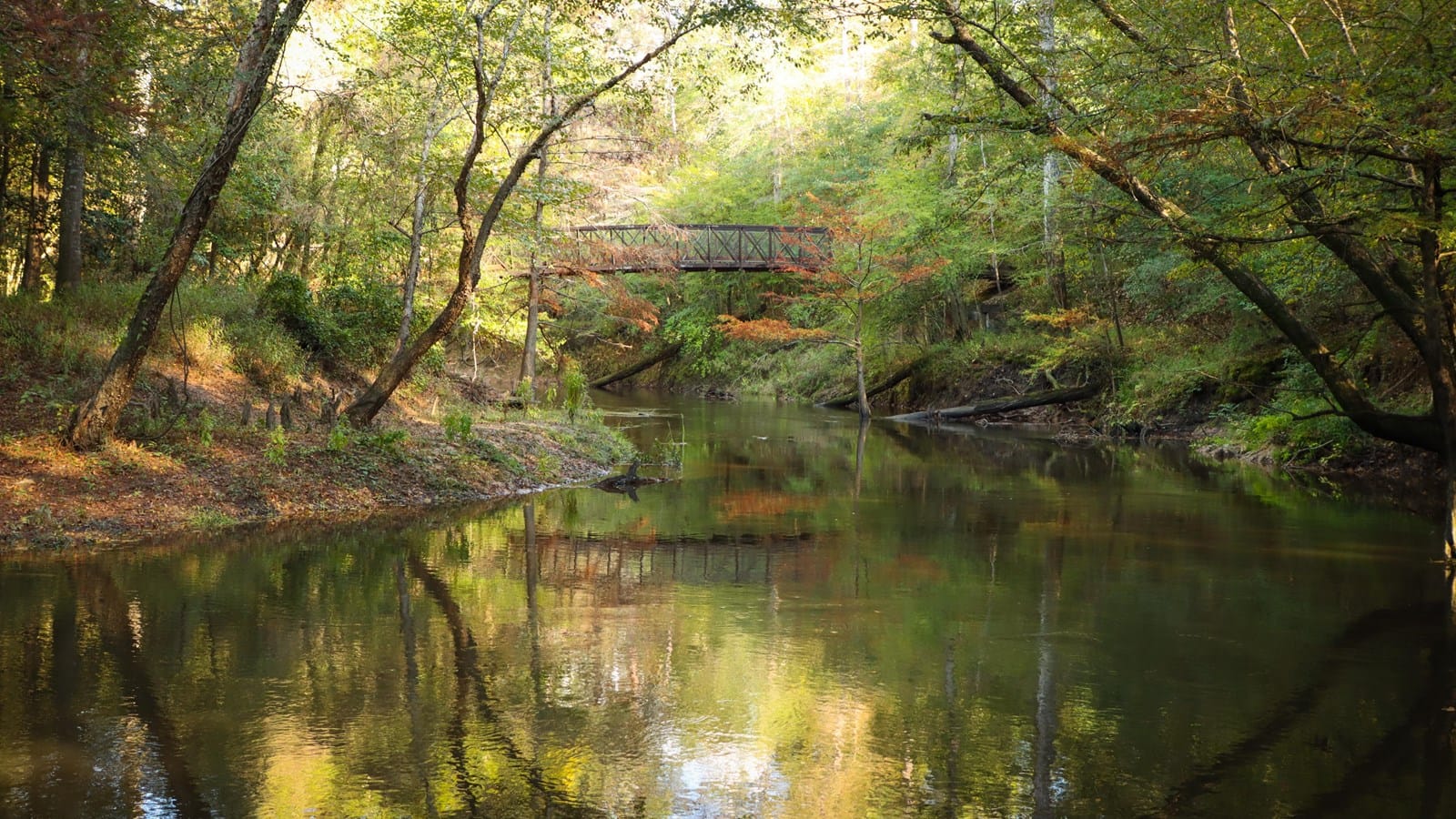 Kirby Nature Trail - An easy 1.7-mile loop trail featuring diverse plant life, excellent bird watching opportunities, and...